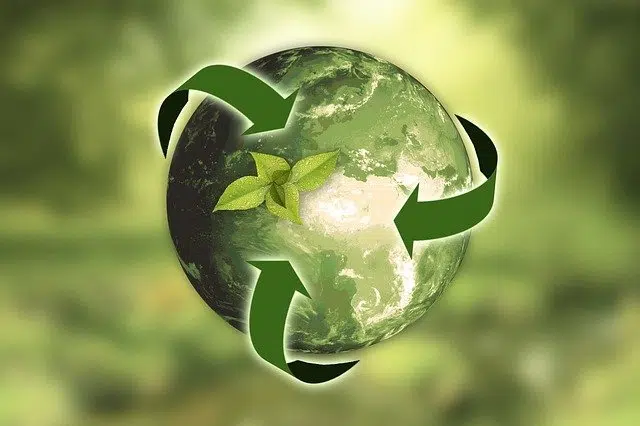 Imagen del cuidado del medio ambiente